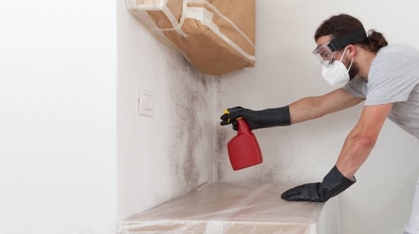 Professional Crawl Space Mold Removal technician working in Dorr, MI