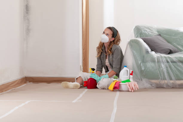 Reliable Crawl Space Mold Removal contractor in Dorr, MI by WQB Mold Removal